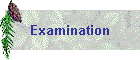 Examination