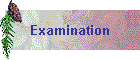 Examination