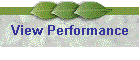 View Performance